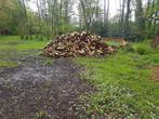 brandhout wilg, Tuin en Terras, Brandhout, Blokken, Ophalen, 6 m³ of meer, Overige houtsoorten
