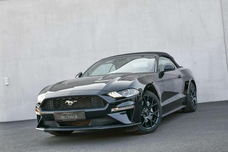 Ford Mustang 2.3 EcoBoost *CAMERA*ACC*CARPLAY*LEDER*B&O*, Autos, Ford, Entreprise, Achat, Mustang, ABS, Caméra de recul, Régulateur de distance