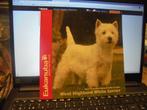 West Highland white terrier, Ophalen of Verzenden, Zo goed als nieuw, Honden
