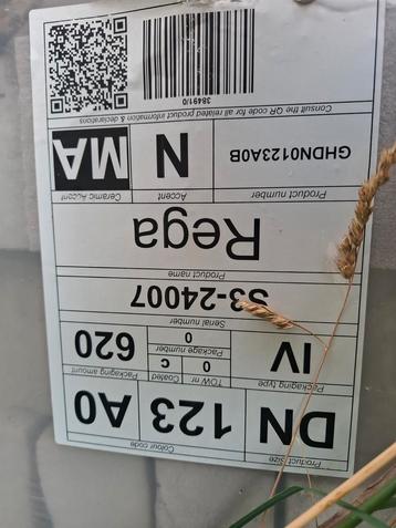 Gevelsteen Rega Vandersanden, Enlèvement, Neuf