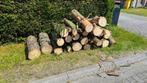 GRATIS HOUT TE WIJNEGEM, Tuin en Terras, Ophalen