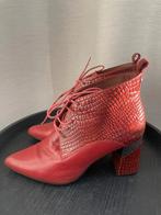 Bordeaux rode korte laarsjes maat 37,5 - Hispanitas, Hispanitas, Dansschoenen, Ophalen of Verzenden, Zo goed als nieuw