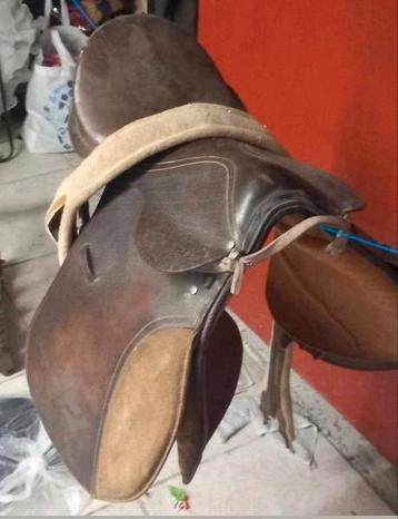 Groot ponyzadel  beschikbaar voor biedingen