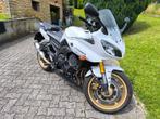 Yamaha FZ8, Motoren, Particulier