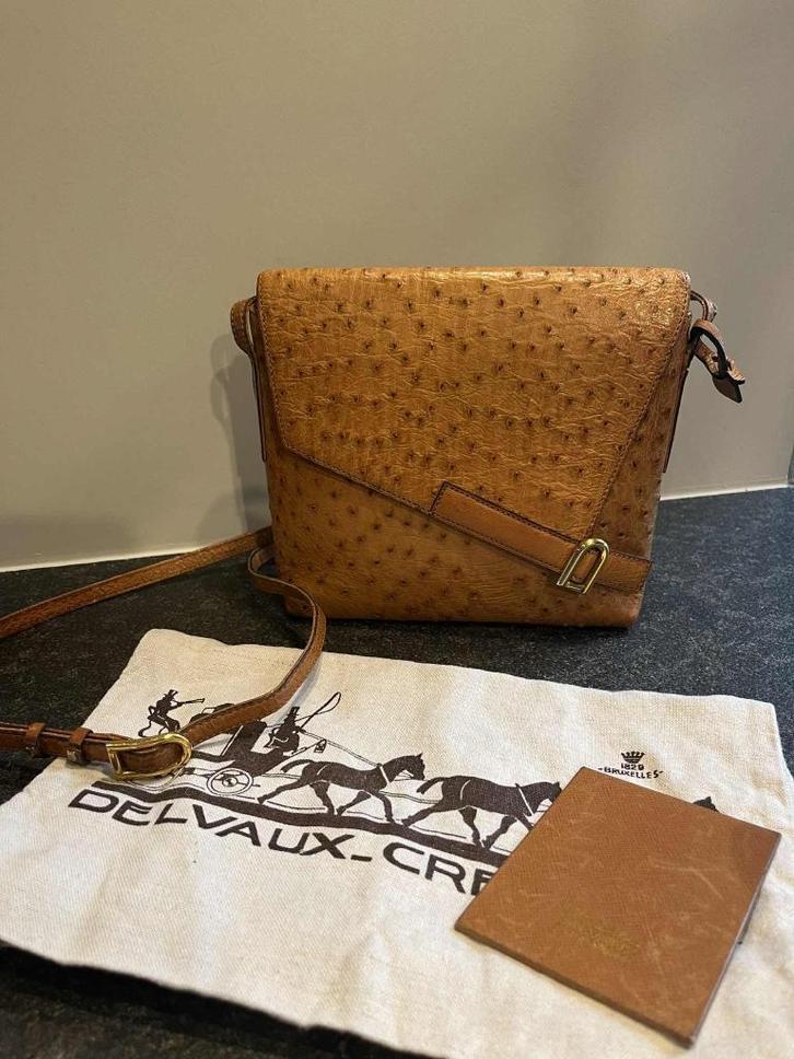 Delvaux in struisvogelleder, Handtassen en Accessoires, Tassen | Damestassen, Gebruikt, Handtas, Bruin, Ophalen of Verzenden