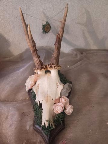 Schedel met bloemen beschikbaar voor biedingen