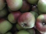 BEWAARAPPELEN TE KOOP, Ophalen