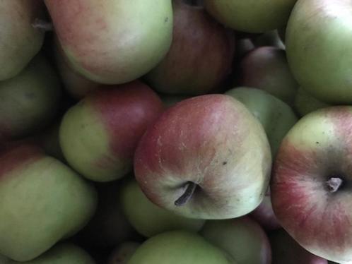BEWAARAPPELEN TE KOOP, Diversen, Levensmiddelen, Ophalen
