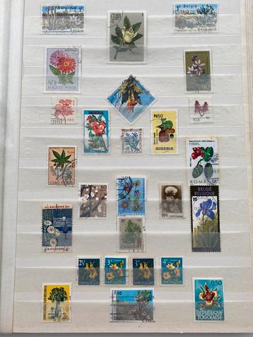 Postzegelalbum (bloemen en planten + sport)