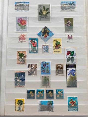 Album de timbres (fleurs et plantes + sports)
