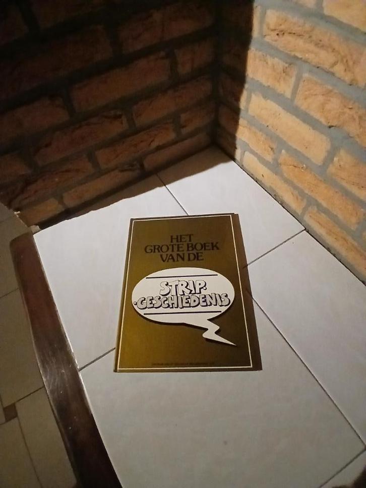 het grote boek van de stripgeschiedenis, Boeken, Stripverhalen, Nieuw, Eén stripboek, Ophalen of Verzenden