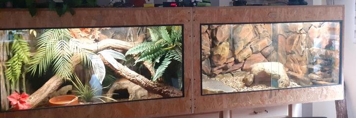 Terrarium, Dieren en Toebehoren, Reptielen en Amfibieën | Toebehoren, Gebruikt, Terrarium of Paludarium, Ophalen