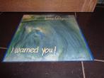 FERRE GRIGNARD - I warned you !, Ophalen of Verzenden, Zo goed als nieuw, Alternative, 12 inch