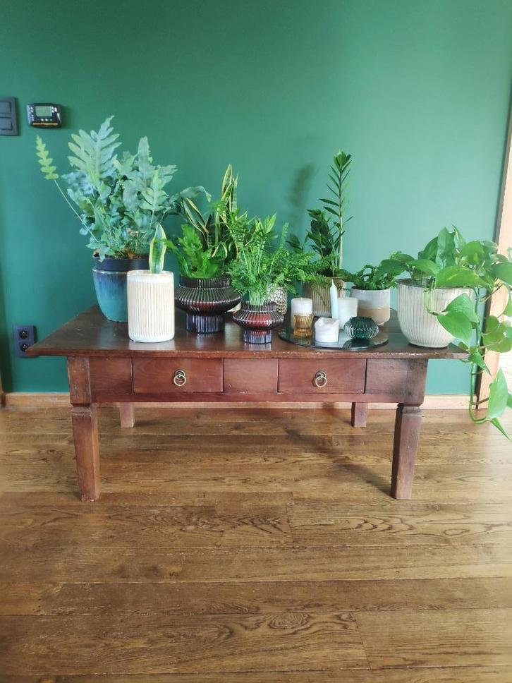 Unieke rustieke massief houten salontafel, Antiek en Kunst, Antiek | Meubels | Tafels, Ophalen