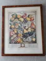 Nature morte de différents fruits, Enlèvement