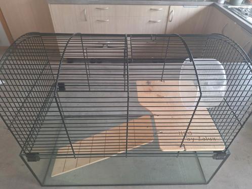 Hamsterhok en toebehoren (zie beschrijving), Dieren en Toebehoren, Knaagdieren en Konijnen | Hokken en Kooien, Zo goed als nieuw