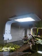 Aquariumverlichting 2x, Ophalen, Zo goed als nieuw