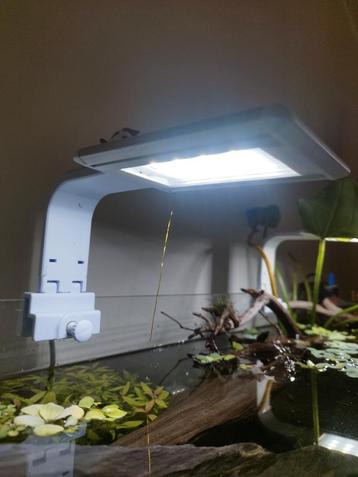 Aquariumverlichting 2x beschikbaar voor biedingen
