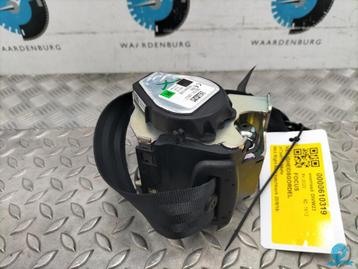 FORD FOCUS [SEAT_BELT] 2020 beschikbaar voor biedingen