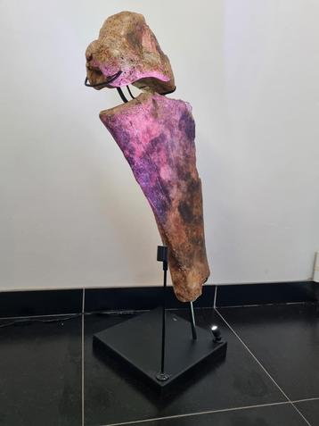 Cuisse diplodocus, posée sur un support., Collections, Enlèvement ou Envoi, Fossile