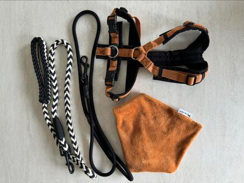 Anny X tuig + lijnen + bandana, Dieren en Toebehoren, Hondenriemen, Zo goed als nieuw, Ophalen