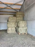 Hooi, Dieren en Toebehoren, Dierenvoeding, Ophalen