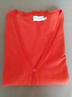 Pull, Kleding | Dames, Truien en Vesten, Ophalen of Verzenden, Maat 46/48 (XL) of groter, Rood