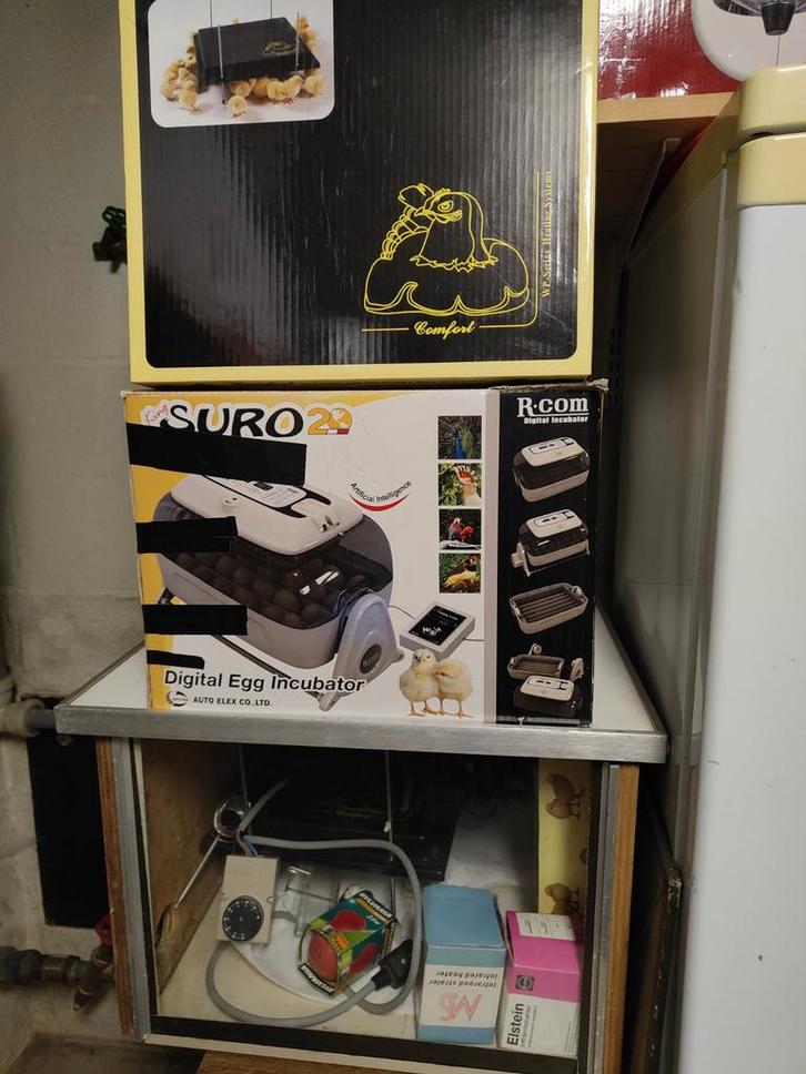 Pack complet couvain et poussin - incubateur + chauffage, Animaux & Accessoires, Volatiles