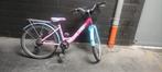 Meisjesfiets, Fietsen en Brommers, Fietsen | Meisjes, Ophalen, Gebruikt, 24 inch
