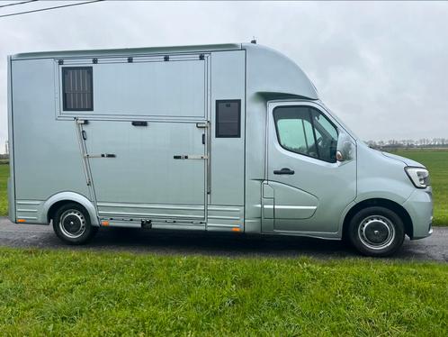 Renault paardencamionette, Dieren en Toebehoren, Paarden en Pony's | Trailers en Aanhangwagens, Ophalen