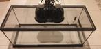 Terrarium met toebehoren, Animaux & Accessoires, Reptiles & Amphibiens | Accessoires, Enlèvement