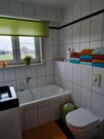 2 groene rolgordijnen 150cmx195cm en 210cmx200cm, Ophalen, Zo goed als nieuw, 200 cm of meer