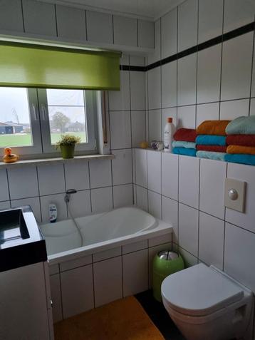 2 groene rolgordijnen 150cmx195cm en 210cmx200cm  beschikbaar voor biedingen