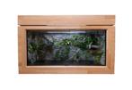 Vivarium en bois de hêtre avec décoration, Dieren en Toebehoren, Ophalen, Zo goed als nieuw, Terrarium of Paludarium