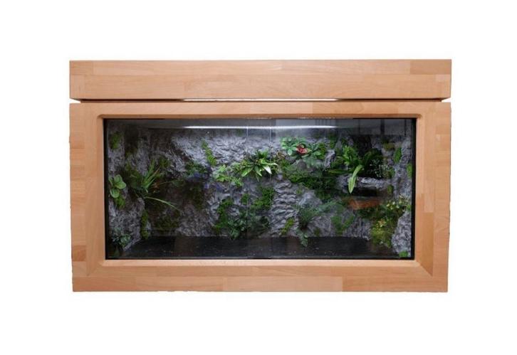 Vivarium en bois de hêtre avec décoration, Dieren en Toebehoren, Reptielen en Amfibieën | Toebehoren, Zo goed als nieuw, Terrarium of Paludarium