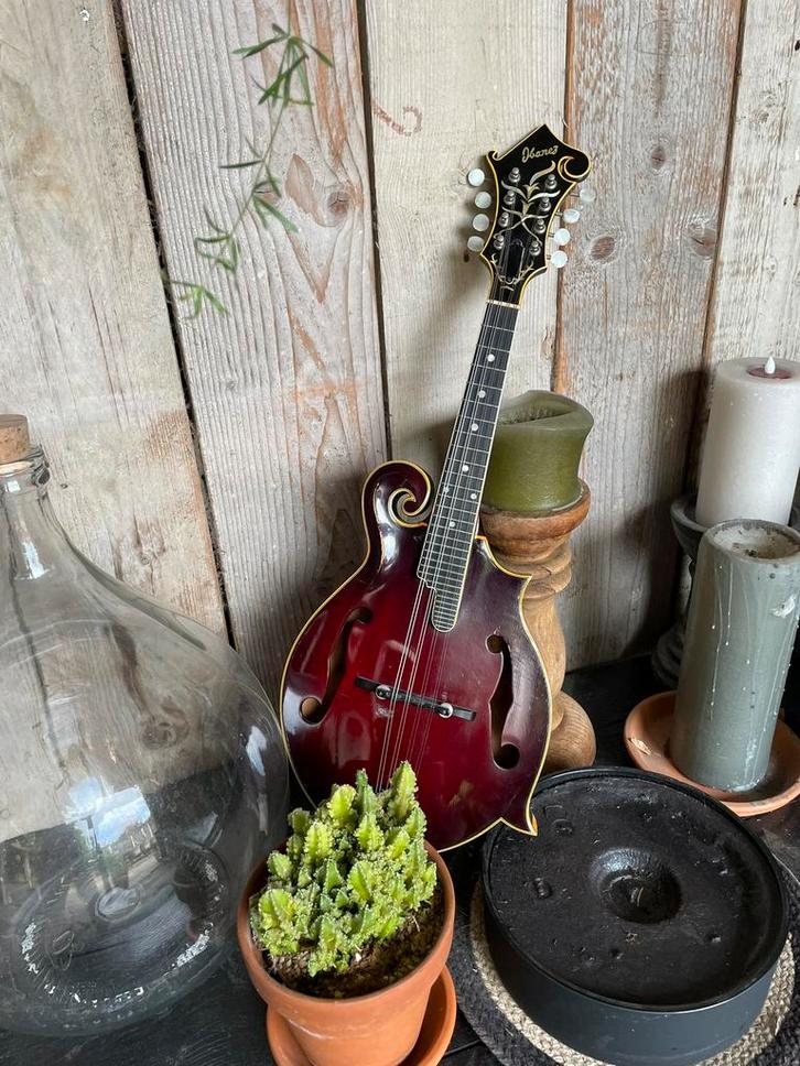 Mandoline Ibanez modèle 526, Musique & Instruments, Instruments à corde | Mandolines, Utilisé, Enlèvement ou Envoi