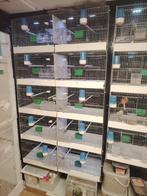 Cage, Dieren en Toebehoren, Ophalen, Gebruikt