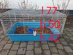 Cavia hokjes, Cobaye, Moins de 60 cm, Cage, Utilisé