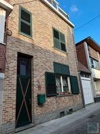 Maison à vendre à Morlanwelz, 329 m², Vrijstaande woning, 341 kWh/m²/jaar