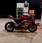Ducati Panigale V2 Troy Bayliss, Motoren, Motoren | Ducati, 2 cilinders, Motorrijbewijs A, Meer dan 35 kW, LED Verlichting