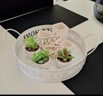 Dienblad met Decoratie nieuwe kunstplantjes, Ophalen, Gebruikt