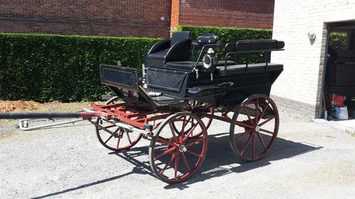 Wagonette voor 8 personen, Dieren en Toebehoren, Rijtuigen en Koetsen, Gebruikt, Wagonette, Paard