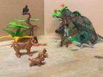 Playmobil wildlife 5561 volledig set, Ophalen of Verzenden, Zo goed als nieuw, Complete set