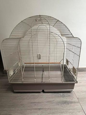 Cage oiseau, Enlèvement, Utilisé