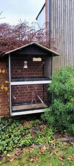 2 kanariekooien + 3 kanaries, Dieren en Toebehoren, Ophalen, Zo goed als nieuw