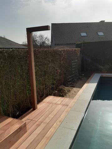 zwembad omkadering en terrassen beschikbaar voor biedingen