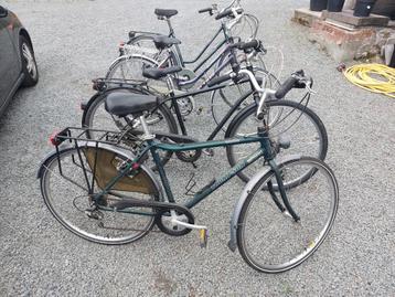 2 dames en 2 herenfietsen  beschikbaar voor biedingen