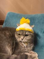 chapeau de chat, Animaux & Accessoires, Enlèvement, Neuf