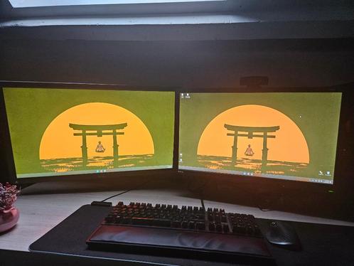 2 gaming monitors met arm, Computers en Software, Monitoren, Gebruikt, 101 t/m 150 Hz, HDMI, VGA, Gaming, Ultrawide, TN, Full HD