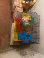 Cage pour hamsters, Animaux & Accessoires, Rongeurs & Lapins | Cages & Clapiers, Comme neuf, 60 à 90 cm, Autres types, Hamster